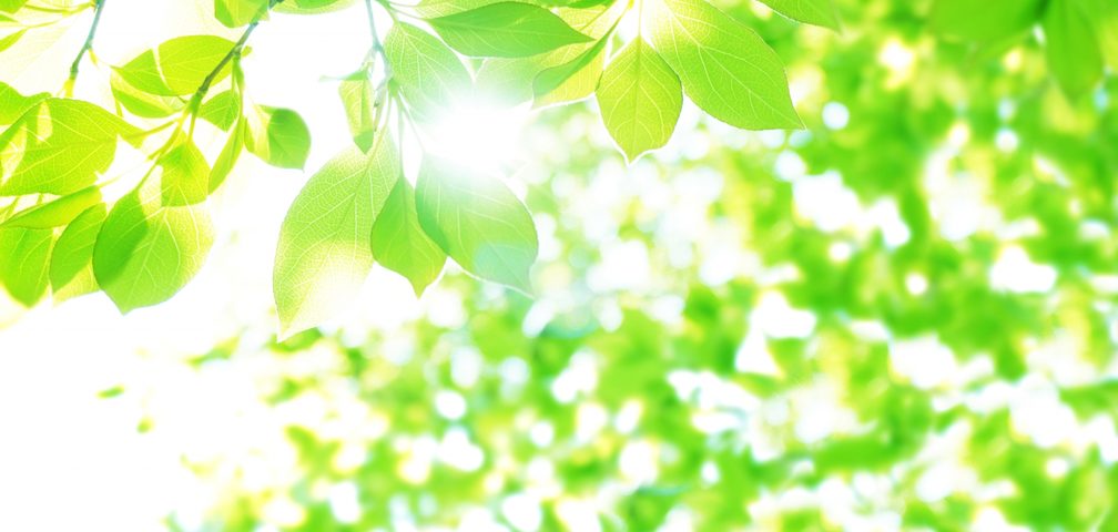 サステナビリティの取り組み